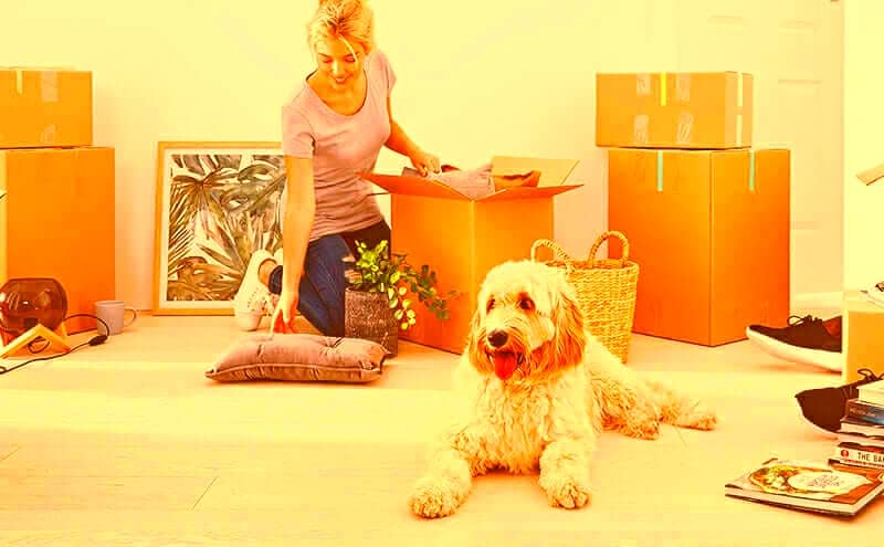 Moving with Pets - How to Prepare for a Stress-Free Experience